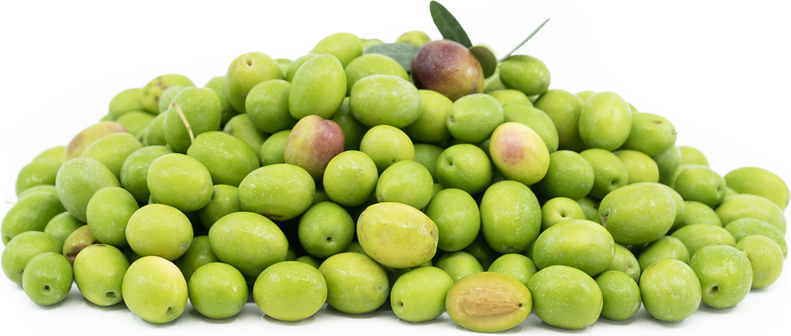 Green Mission Olives picture