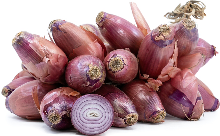 Rossa Di Tropea Onions picture