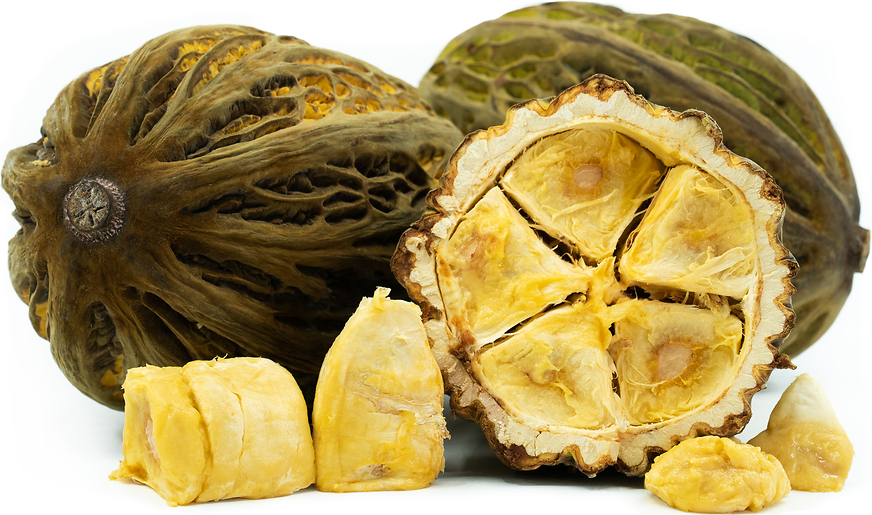 Pataxte Fruit  ( Theobroma Bicolor) picture