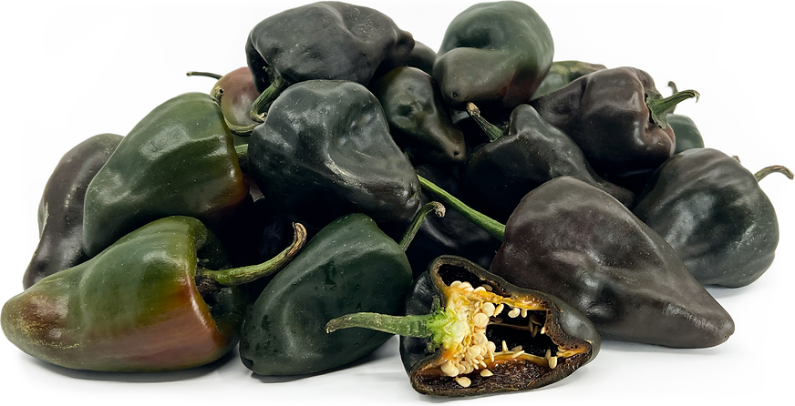 Chilhuacle Negro Chile Peppers picture
