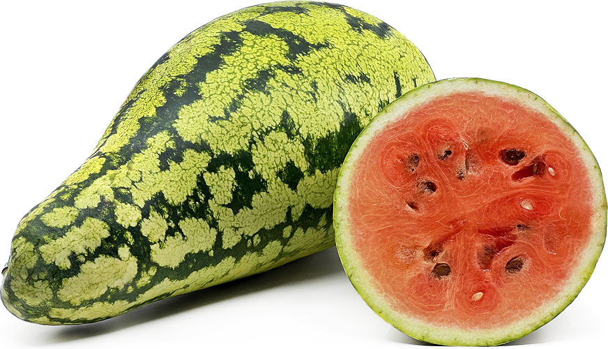 Tamtam  Watermelon picture