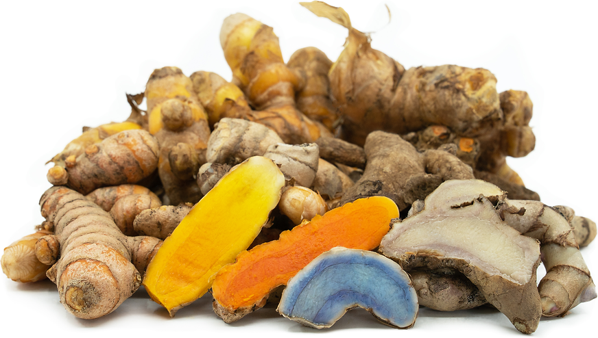 Variety Turmeric picture