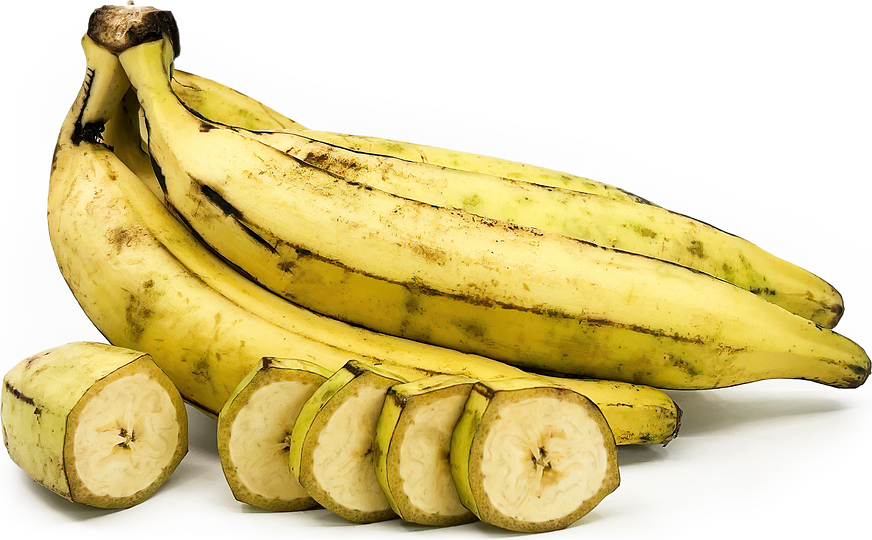 Nendran Bananas picture