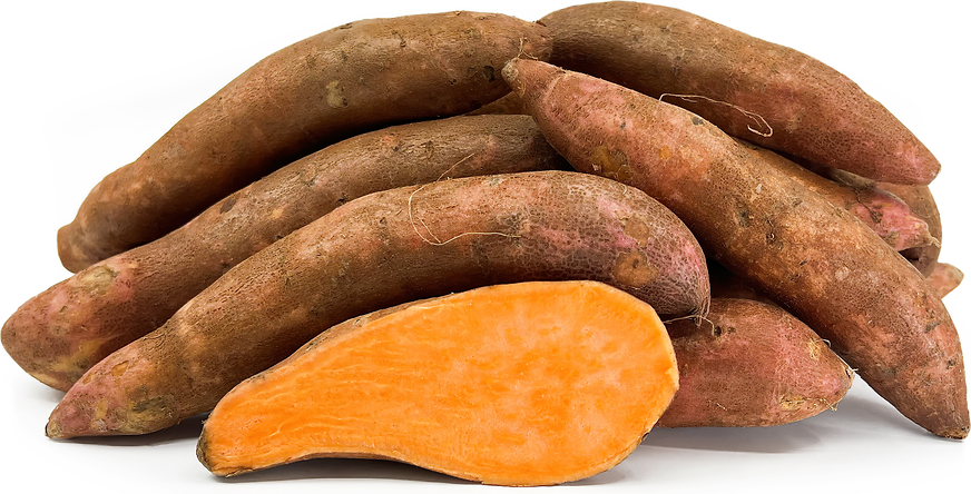 Austrailian Gold Sweet Potatoes picture