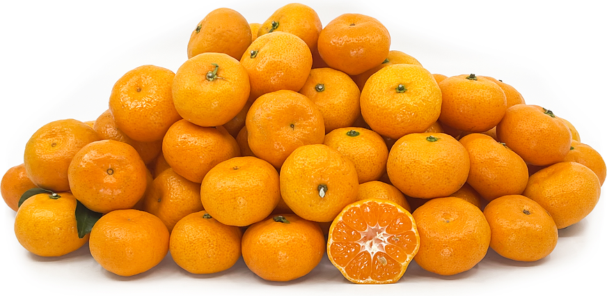 King Tangerines picture