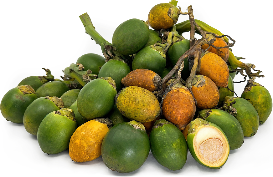 Pinang Fruit picture