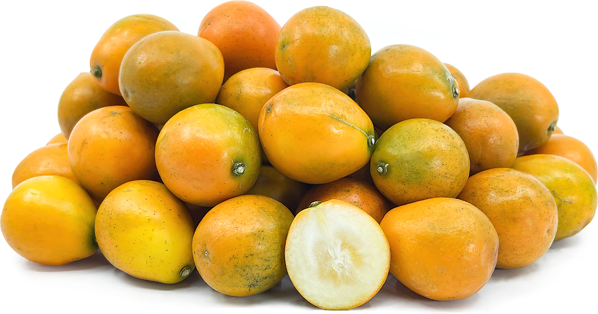 Chinese Kumquats picture
