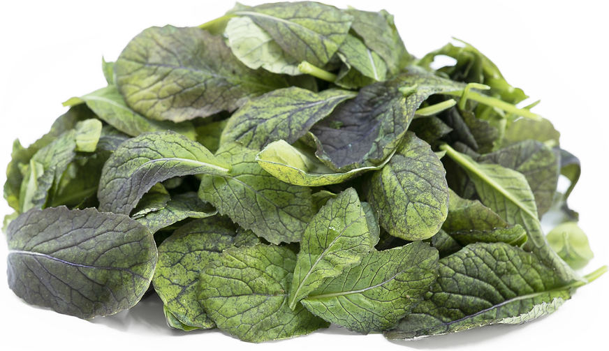 Petite® Red Mustard picture