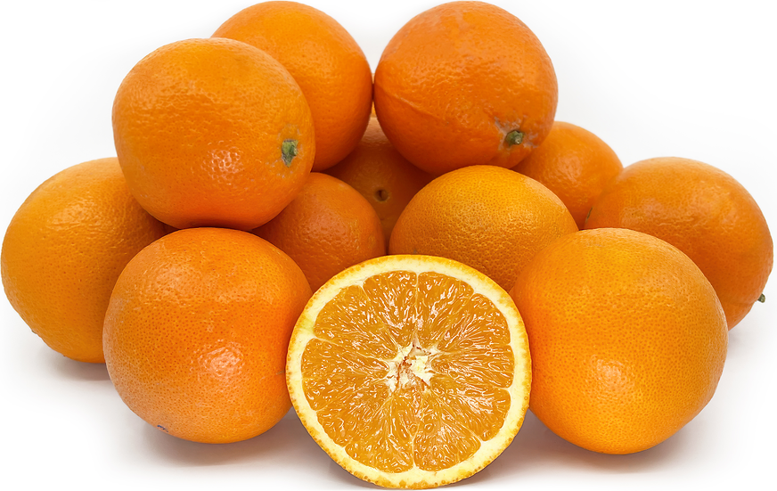 Lou Lou Navel Oranges picture