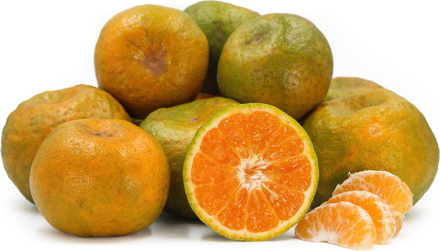 Oneco Tangerines picture