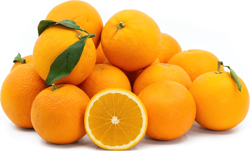 Sicilian Vanilla Navel Oranges picture