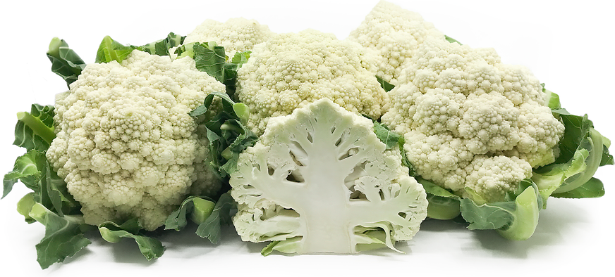 White Broccoli Romanesco picture