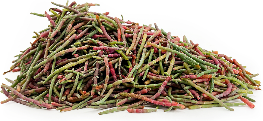 Red Sea Beans picture