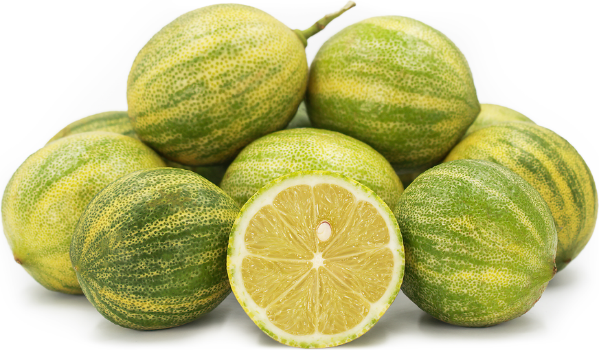 Variegated Limes picture