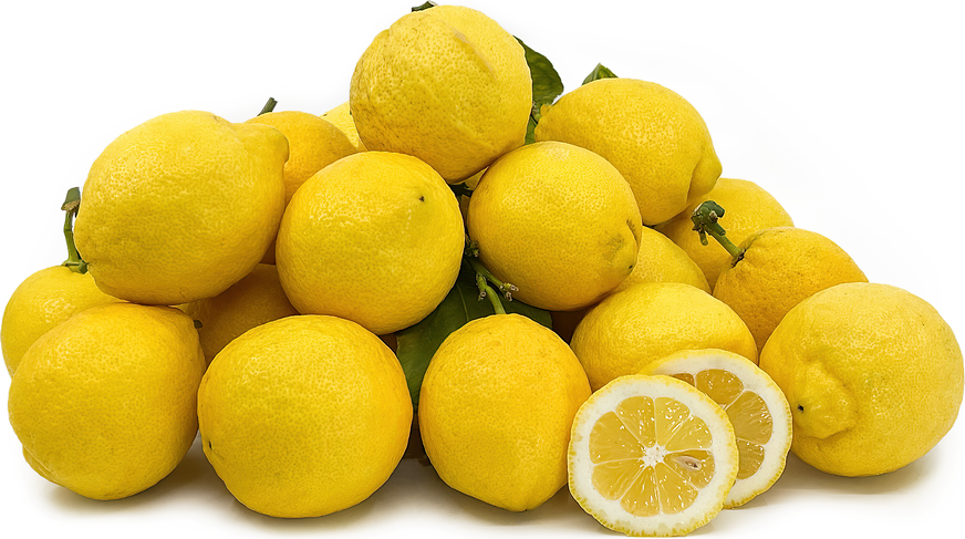Citron de Menton Lemons picture