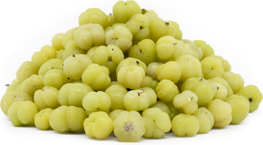 Star Gooseberries picture