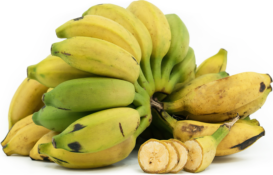 Mysore Bananas picture