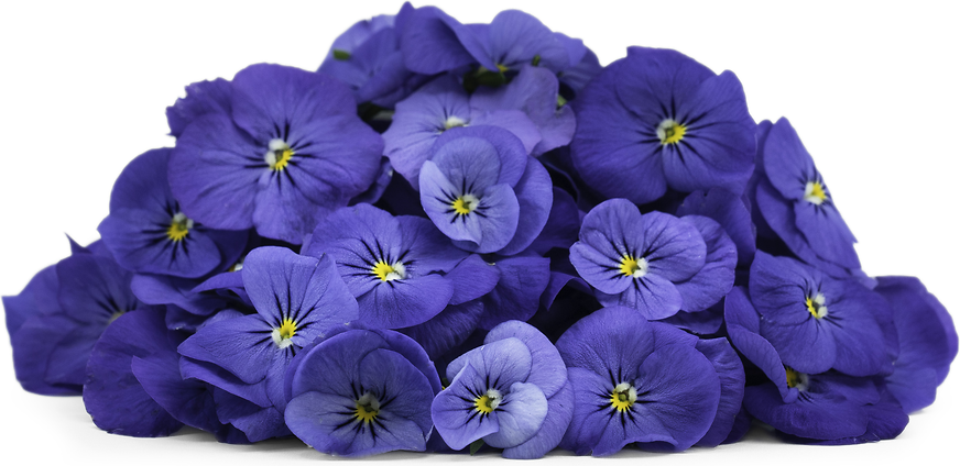 Blue Viola Flowers picture
