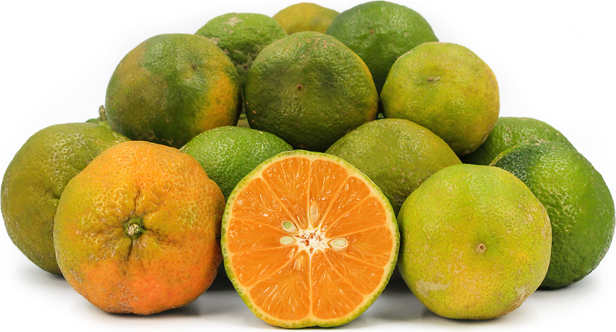 Limon Mandarino picture