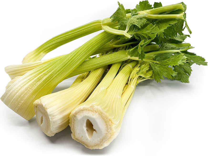 Japanese Celery picture
