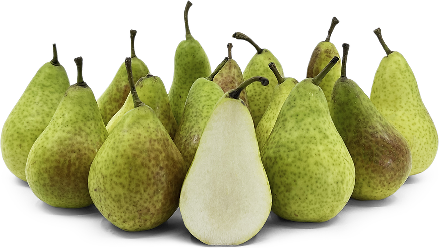 New Zealand Suger Pears picture