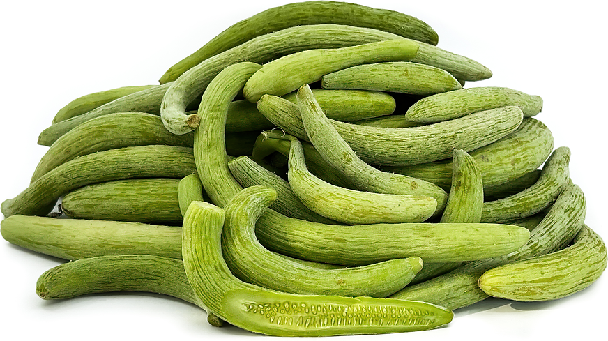 Snake Cucumbers picture