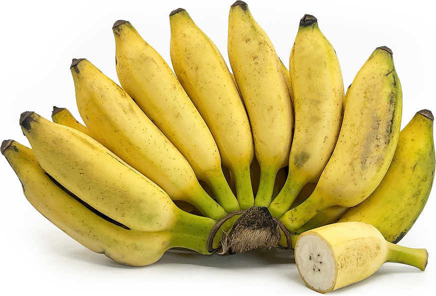 Yelakki Bananas picture