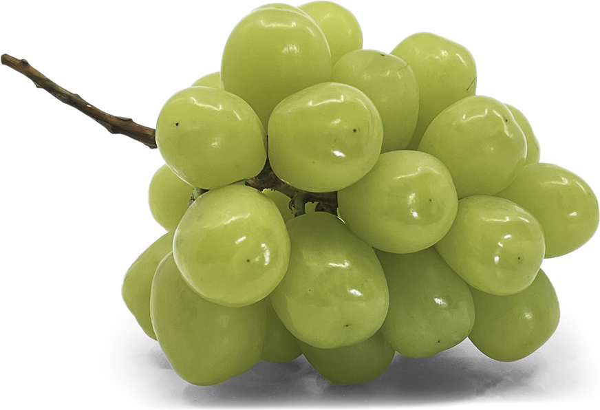 Japanese Shine Muscat Grapes picture