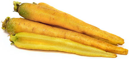 yellow carrot