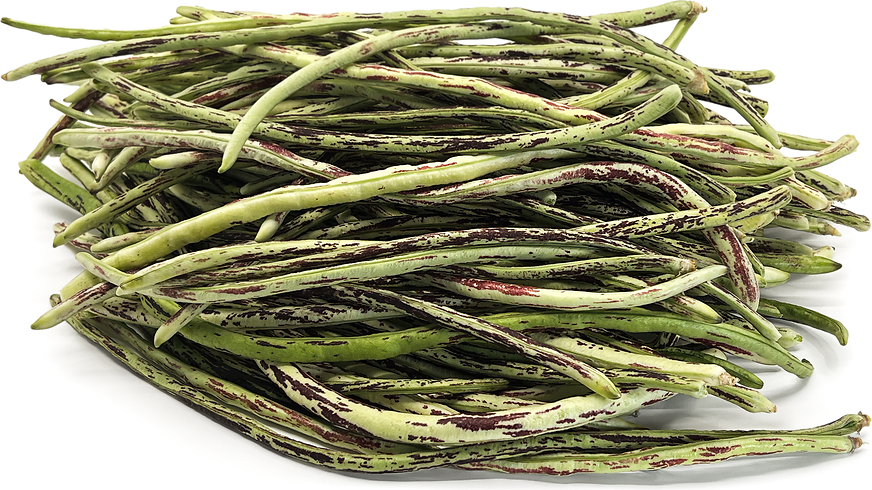 China Long Dragon Beans picture