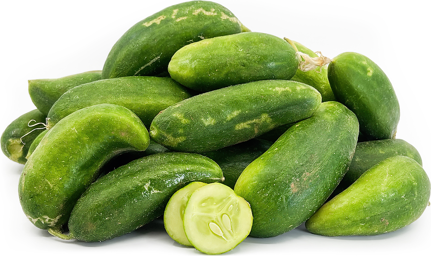 Beit Alpha Cucumbers picture