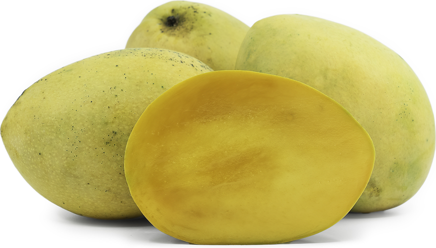 Duncan Mangoes picture