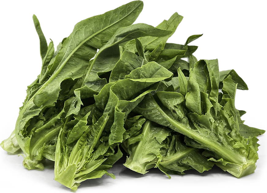 A-Choy Lettuce picture