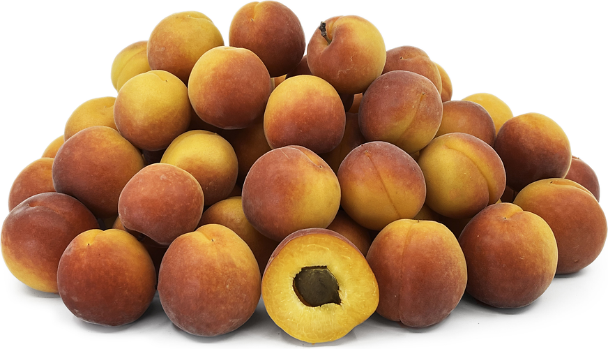 Robada Apricots picture