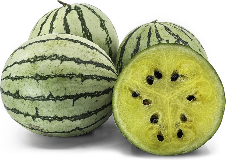 Mini Yellow Stripped Watermelons picture