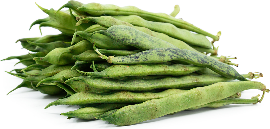 Akishima Sasage Green Beans picture