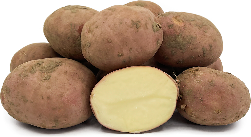 Robinta Potatoes picture