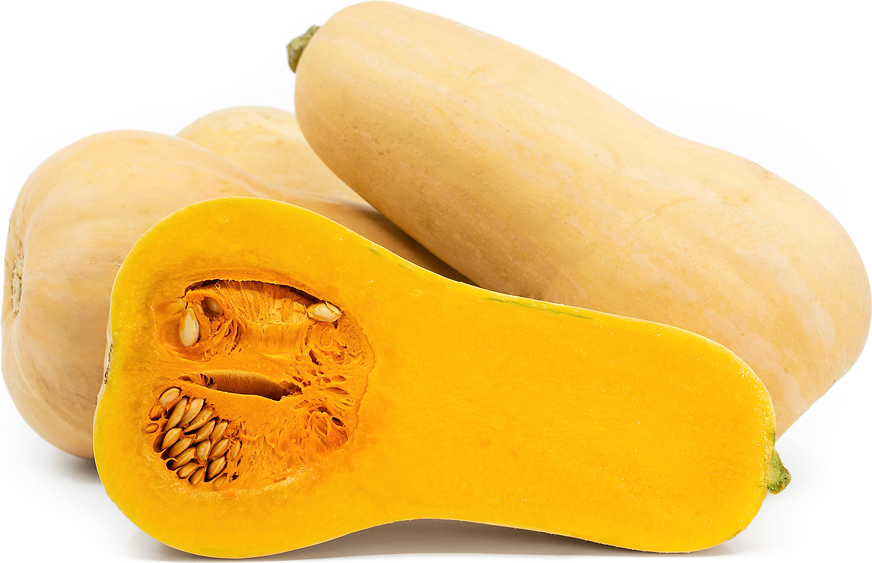 FM Squash Butternut - Weiser Family Farms picture