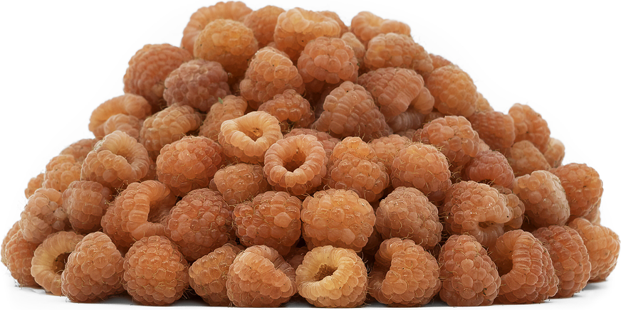 Double Gold Raspberries picture