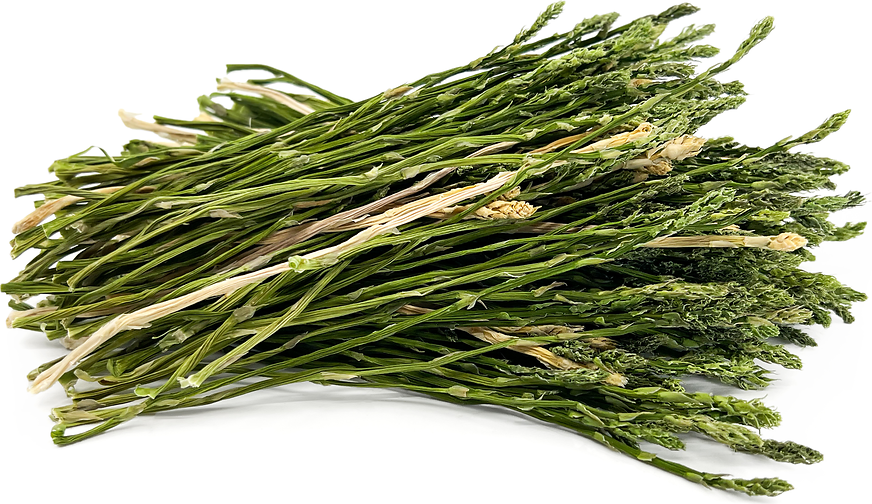 Dried Asparagus picture