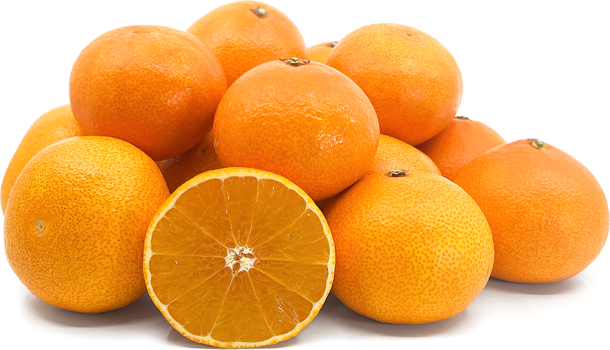 Beni Madonna Oranges picture