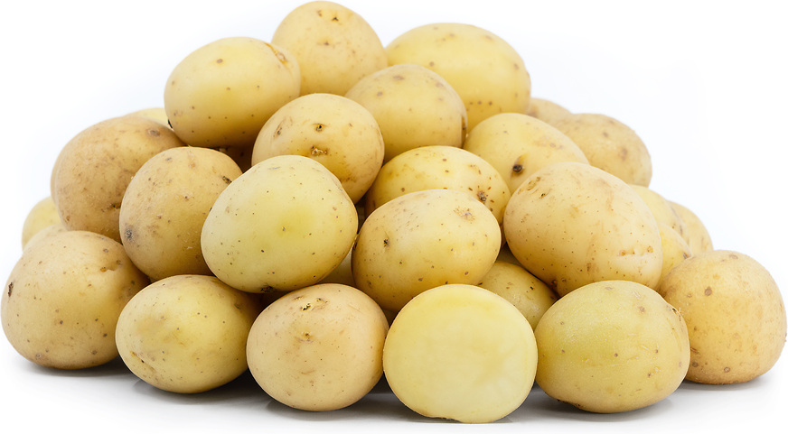 Yellow Creamer Potatoes picture