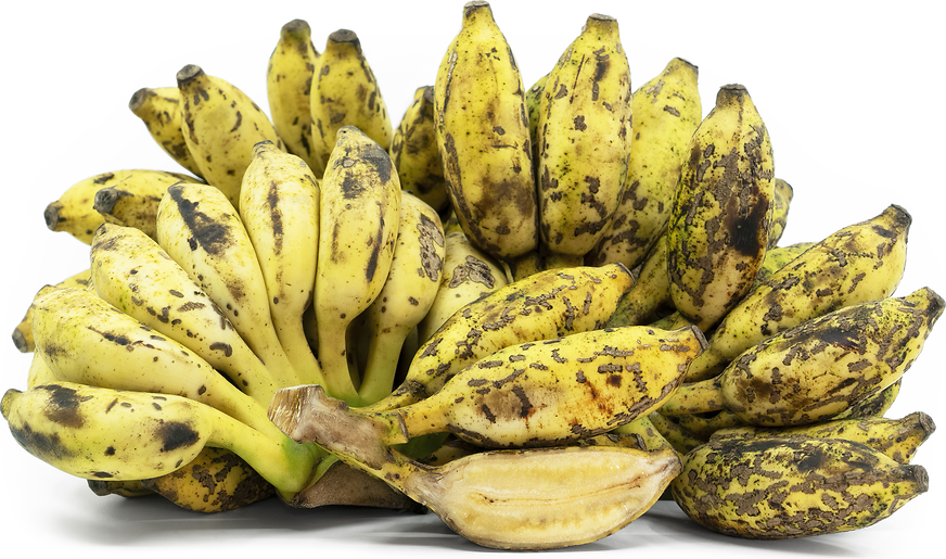 Chini Champa Bananas picture