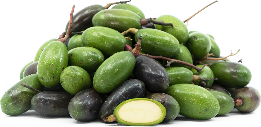 Indian Olives picture