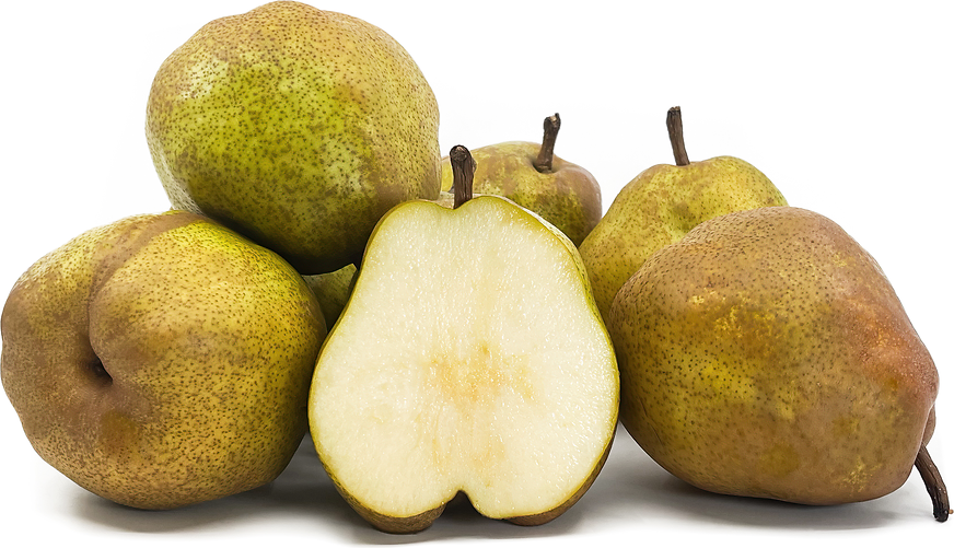 Le France Pears picture