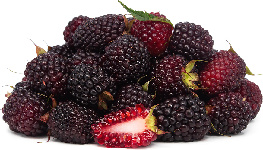 Castilla Blackberries picture