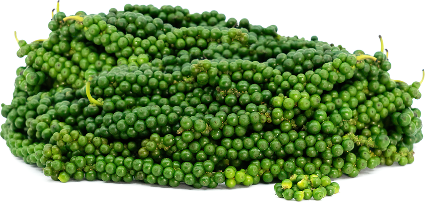 Sarawak Green Peppercorns picture
