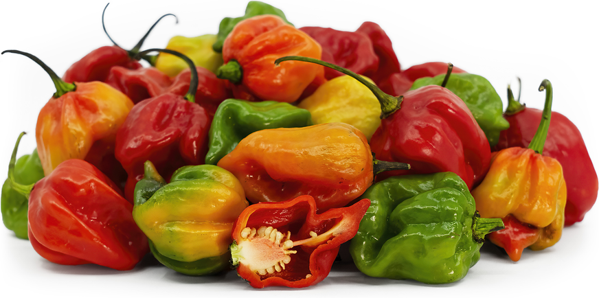 Malaysian Goronong Chile Peppers picture