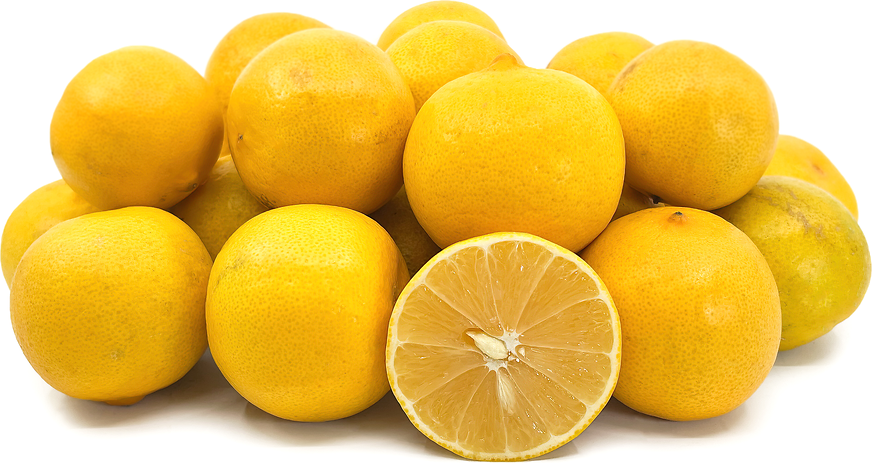 Iranian Sweet Lemons picture