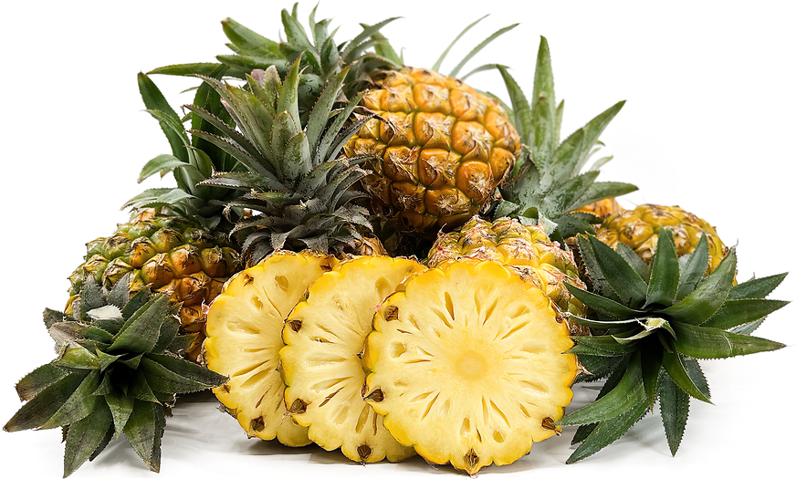 South African Baby Pineapples picture